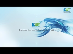 Baterai lithium Primart