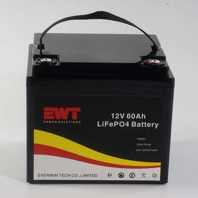 OEM Baterai lithium ion 12v 60ah 768Wh lifepo4 untuk skuter E-bike Golf mobil