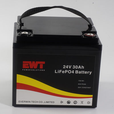 Lifepo4 Portable Battery Pack 24V 30AH Dengan Bluetooth Can